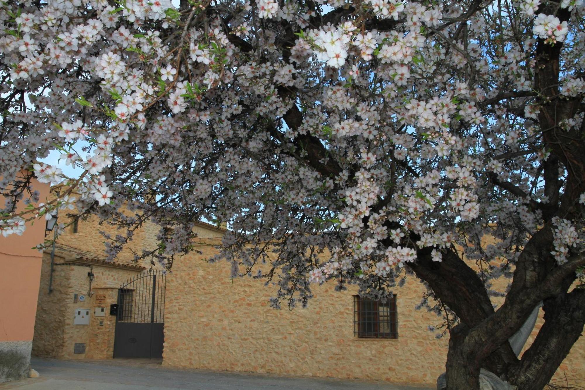 Alojamientos Rurales Cortijo Las Golondrinas Alhama de Murcia Kültér fotó