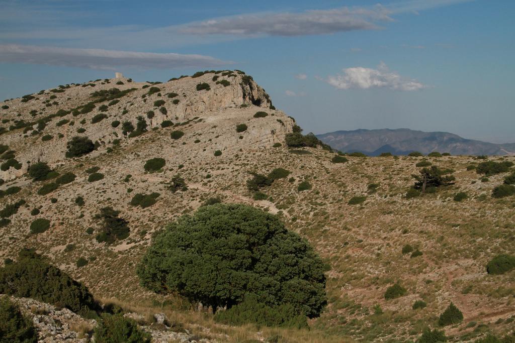 Alojamientos Rurales Cortijo Las Golondrinas Alhama de Murcia Kültér fotó