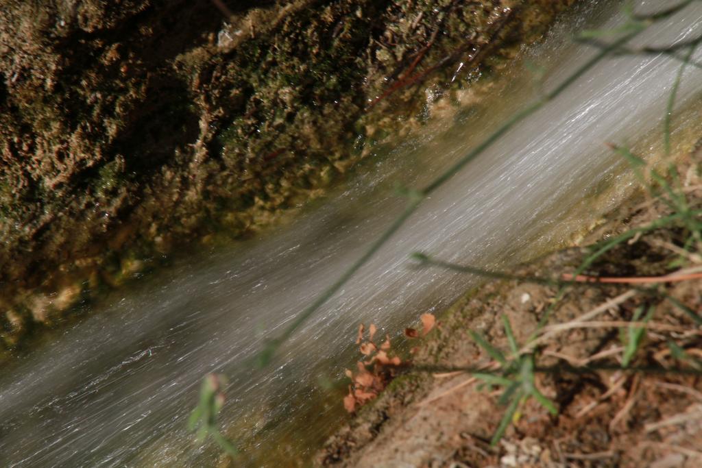 Alojamientos Rurales Cortijo Las Golondrinas Alhama de Murcia Kültér fotó