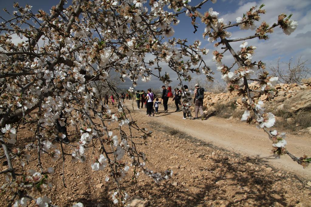 Alojamientos Rurales Cortijo Las Golondrinas Alhama de Murcia Kültér fotó