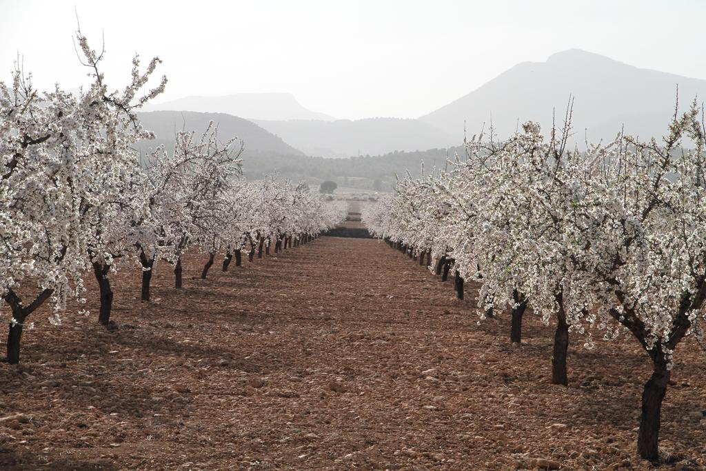 Alojamientos Rurales Cortijo Las Golondrinas Alhama de Murcia Kültér fotó